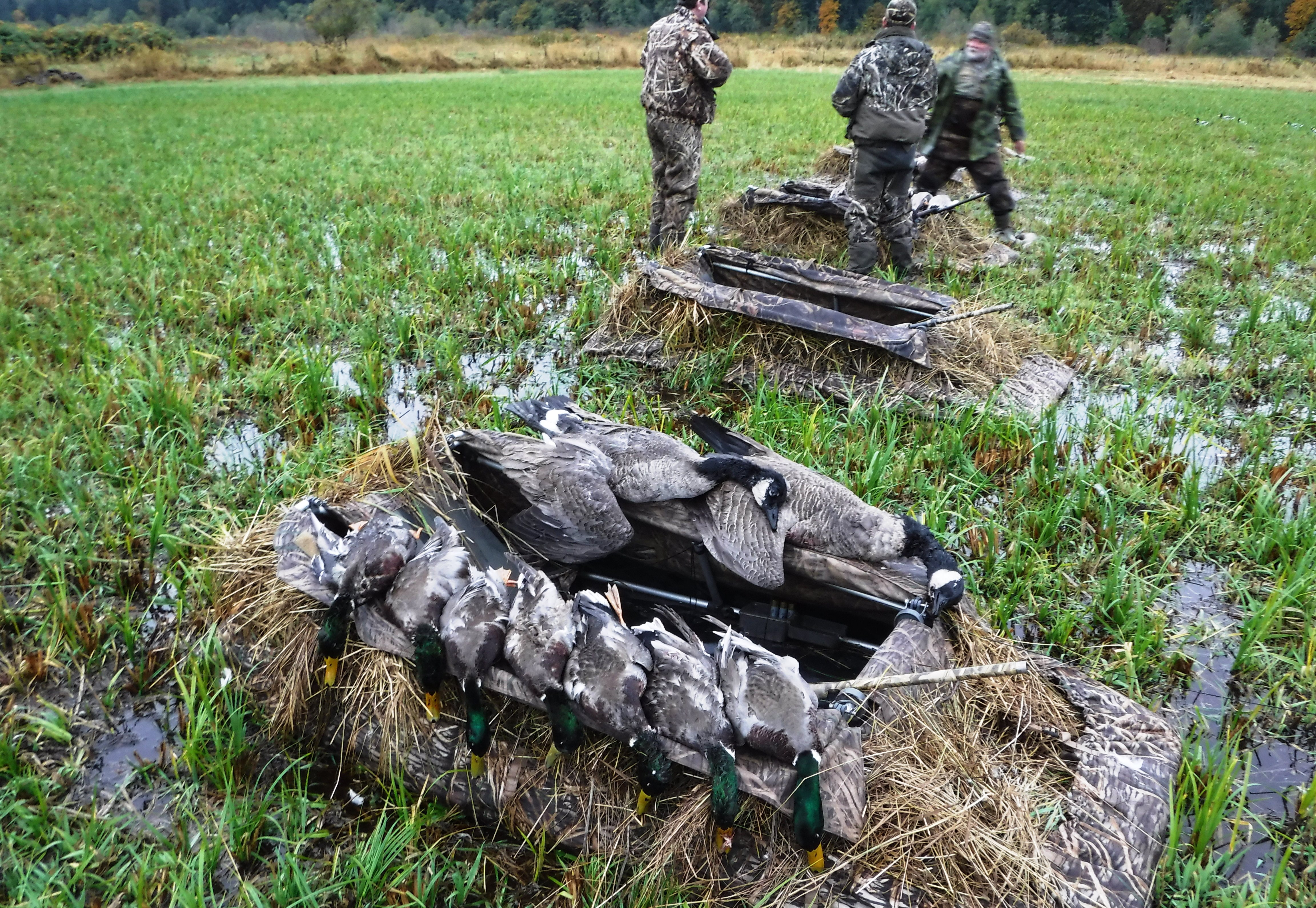 HUNTPHOTOS/COMBO2.JPG
