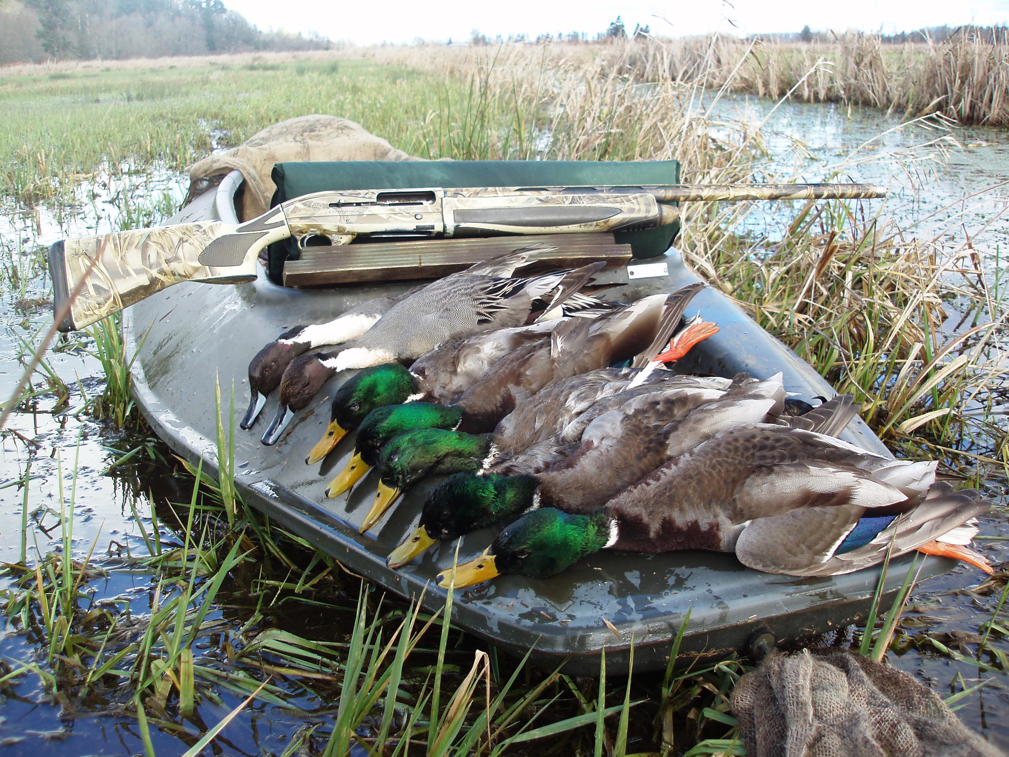 HUNTPHOTOS/FULLHOUSE.JPG